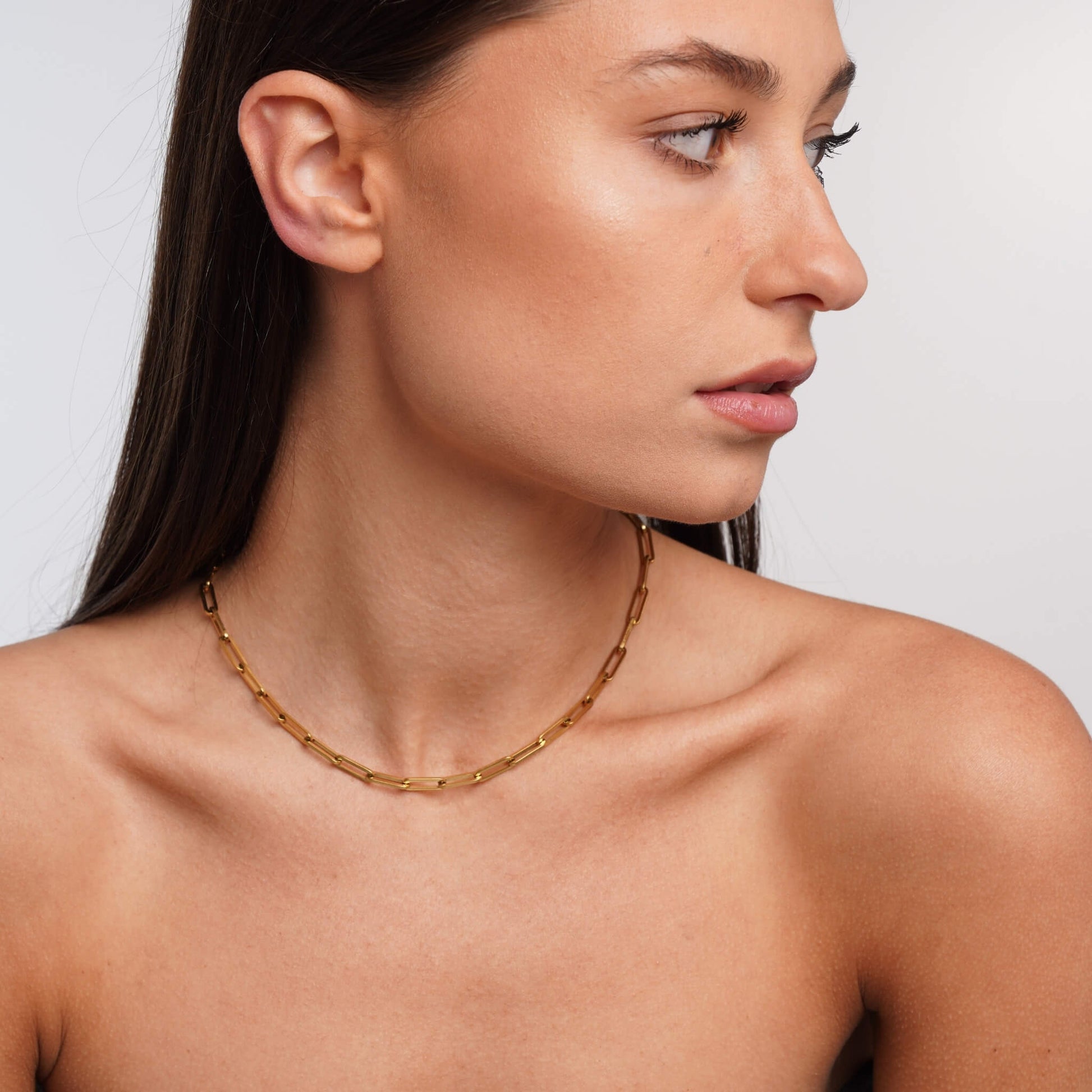 Link necklace styled on a model's neckline